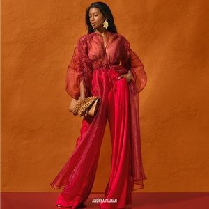 NWT Andrea Iyamah Deko Mesh Wine Robe S/M